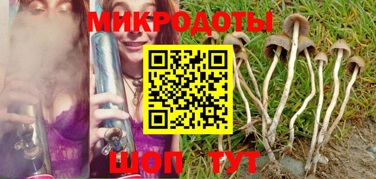 Галлюциногенные грибы MAGIC MUSHROOMS  Галлюциногенные грибы прущие грибы  закладка  Вход с VPN  Люберцы 